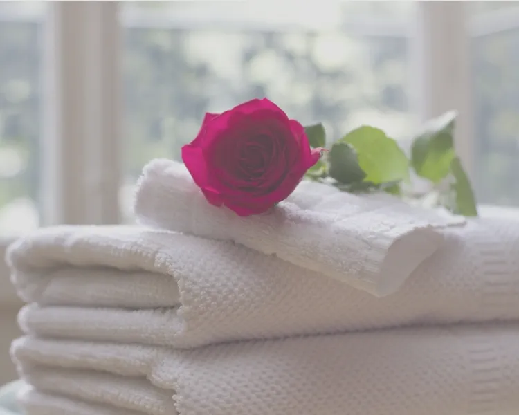 VALENTINE ROSEのブログ